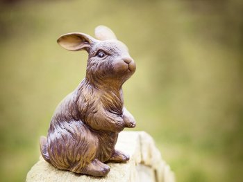 Jar je tu a na záhradkách to ožíva! Jar je tu a na záhradkách to ožíva!